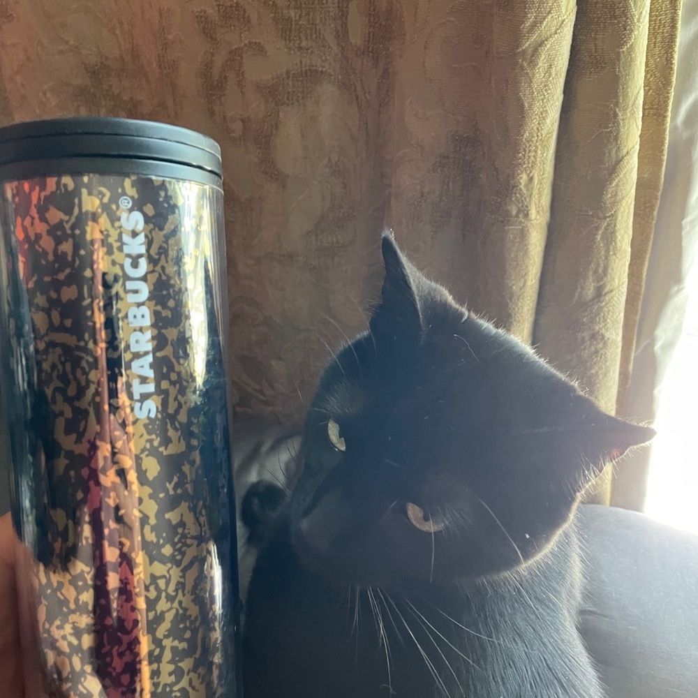 Blk & Gold Crackle tumbler - Picture 3 of 4
